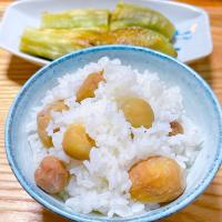 2023/09/29 栗ご飯と焼き茄子